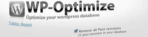 Optimiser BDD WordPress